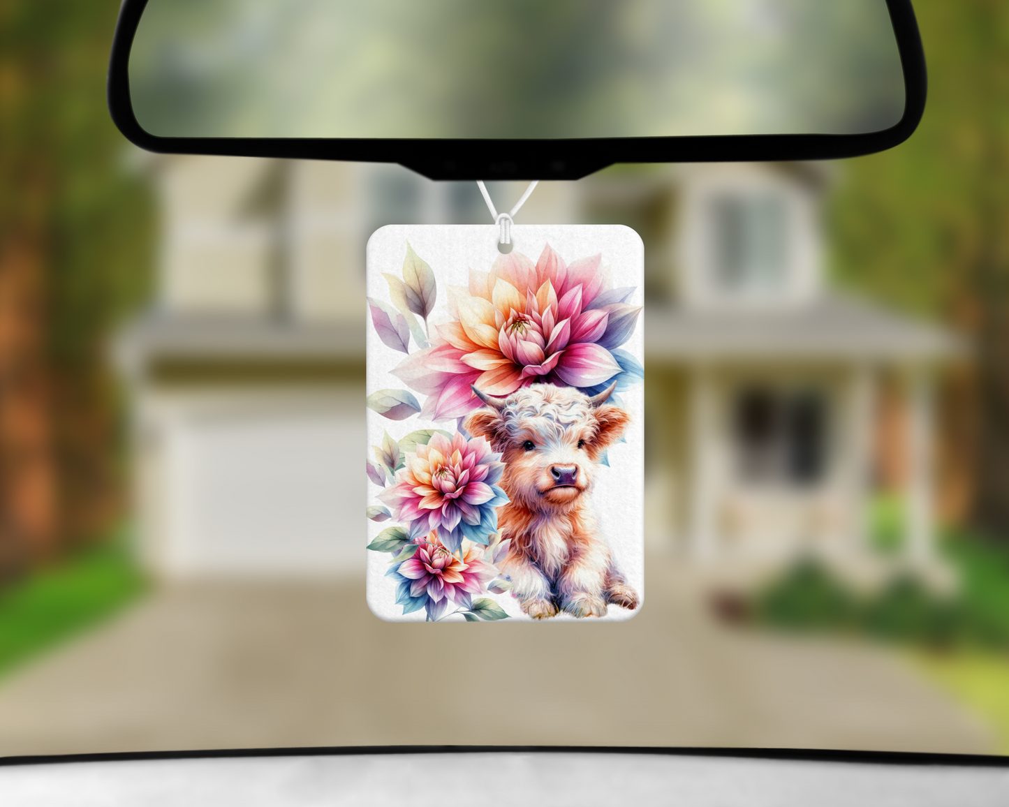 Freshy Designs