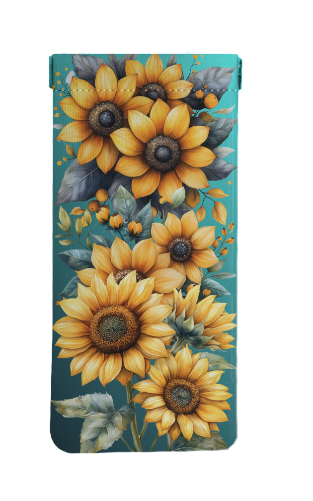 Glasses case. Collection 3. Designs only